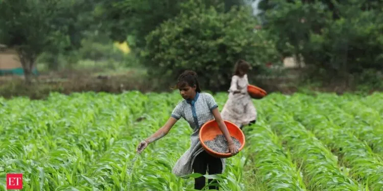 El Niño delays India’s monsoon, disrupting $300B farm supply chain