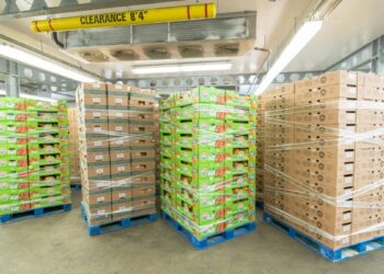 Americold启动新降本计划，年减支超2500万美元 — FreightWaves