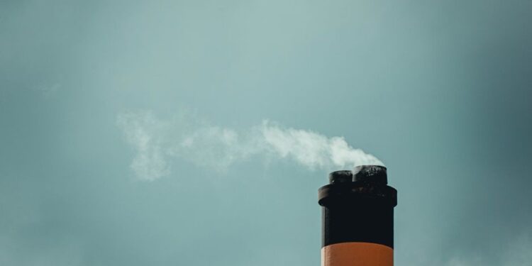 欧盟渔业链推区块链溯源，5个实验室验证数字护照与营养指数