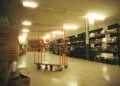 Duluth Trading launches Georgia fulfillment hub, taps Amazon for Prime