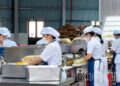 Phú Thọ Exporters Leverage EVFTA, Hit $48.77B Trade in H1 2026