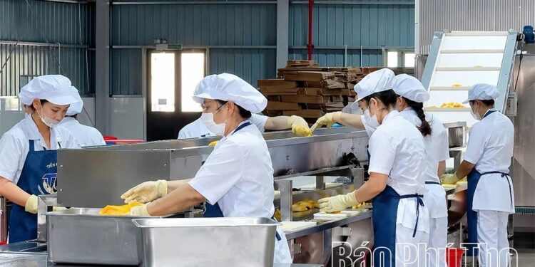 Phú Thọ Exporters Leverage EVFTA, Hit $48.77B Trade in H1 2026