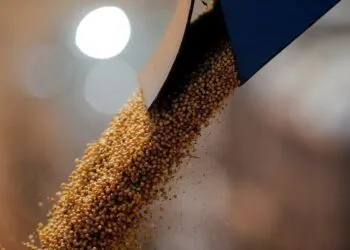 China imports 1.26M tons U.S. soy; Brazil holds 90% share