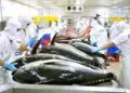 Vietnam Seafood Exporters Face $10K/Container US Freight Surge