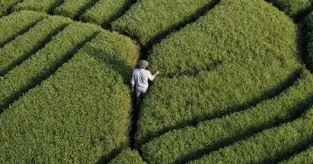 EcoVadis: 80% of Firms Lack ESG Supply Chain Strategy