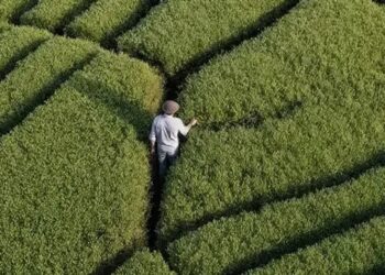 EcoVadis：80%企业缺ESG供应链策略，73%无Scope 3上游碳报告