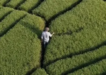 EcoVadis: 80% of Firms Lack ESG Supply Chain Strategy