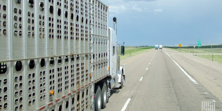 BulkLoads acquires Livestock Network, unites two ag freight communities