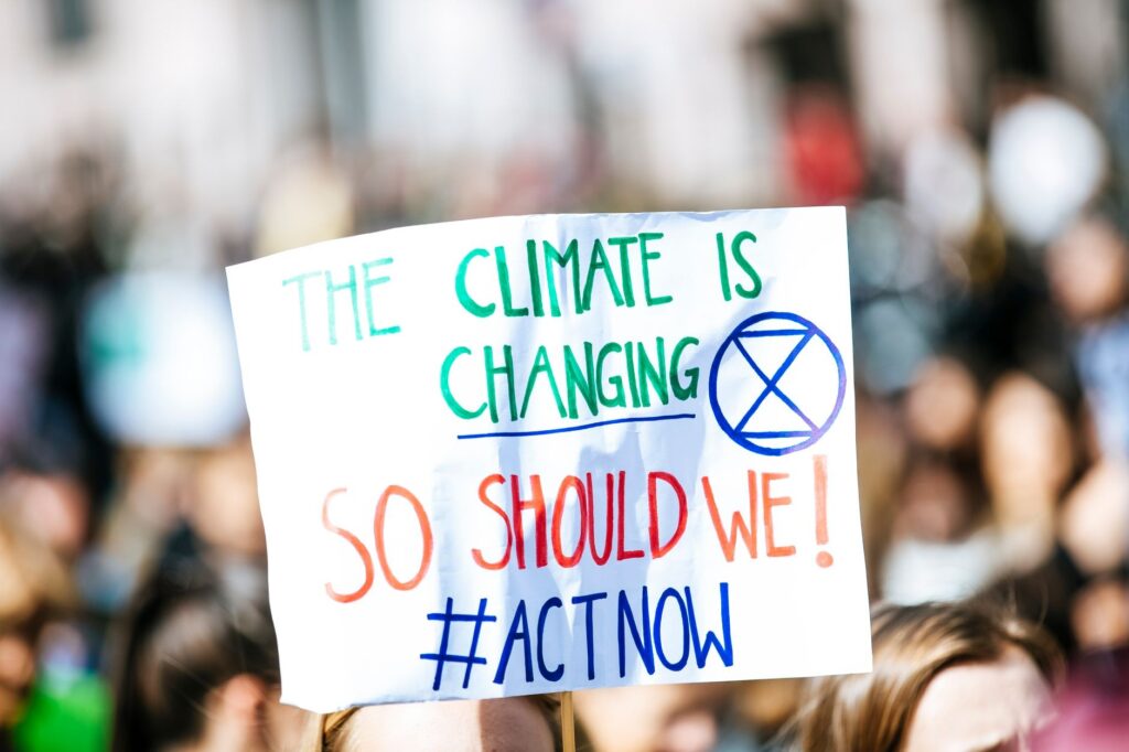 COP26: 改变世界的5Zs 第二部分