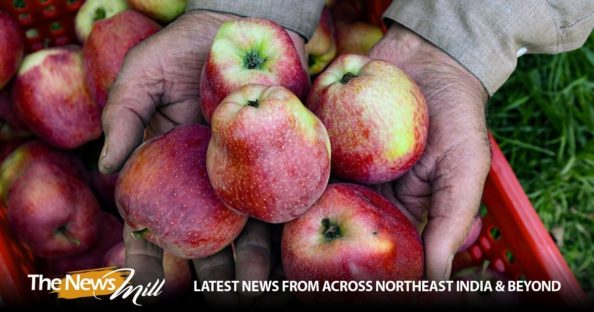 Adani Agri Fresh raises apple procurement rates to Rs 108/kg in Himachal Pradesh