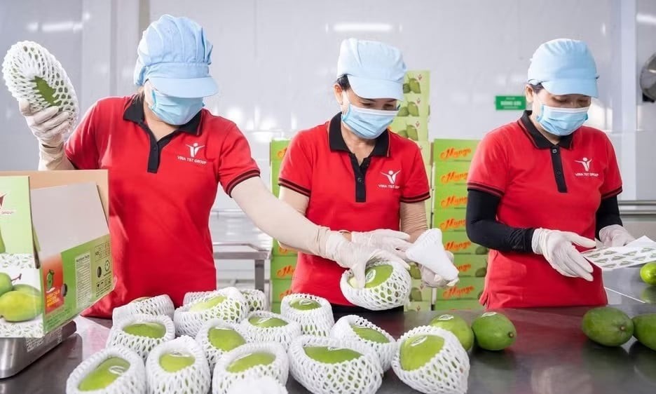 越南出口企业应对日欧新规：氯苯嘧啶醇MRL下调80%，2026年8月起执行