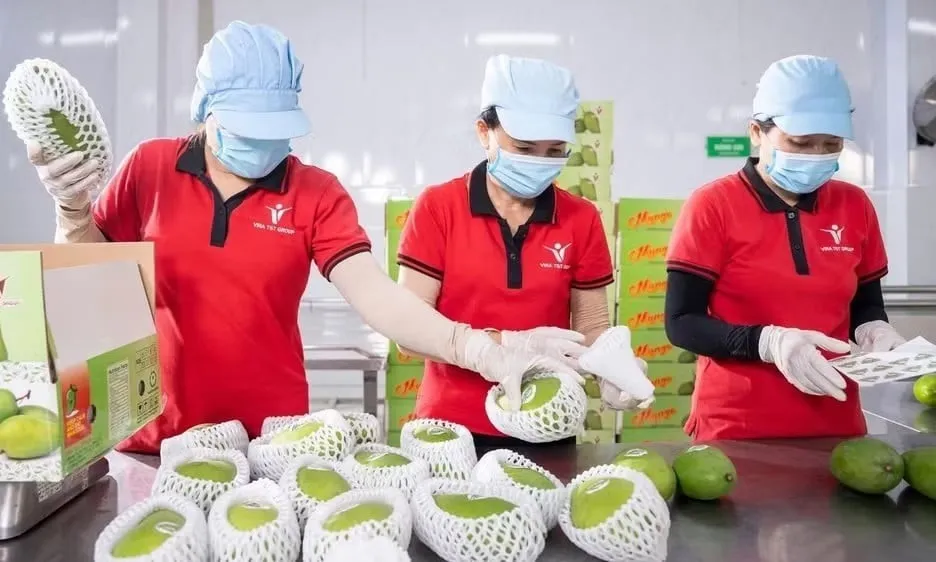 越南出口企业应对日欧新规：氯苯嘧啶醇MRL下调80%，2026年8月起执行