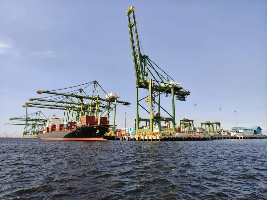 Brazilian Tobacco Completes 2025/26 Pre-Inspection for China Export