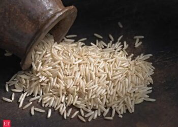 印度 Basmati 出口物流降本：运费从350美元/吨砍至90美元，伊拉克单国进口7.64万吨